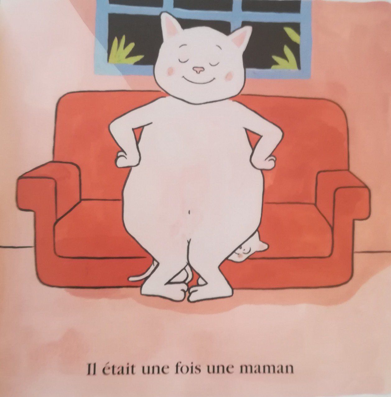 1, 2, 3 petits chats qui savaient compter jusqu'à 3 (Michel Van Zeveren)